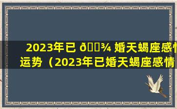 2023年已 🌾 婚天蝎座感情运势（2023年已婚天蝎座感情运势怎么样）